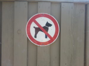 Hundeschild