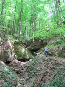 Massendorfer Schlucht 1