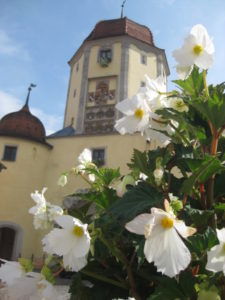 Spielzeugmuseum Turm2