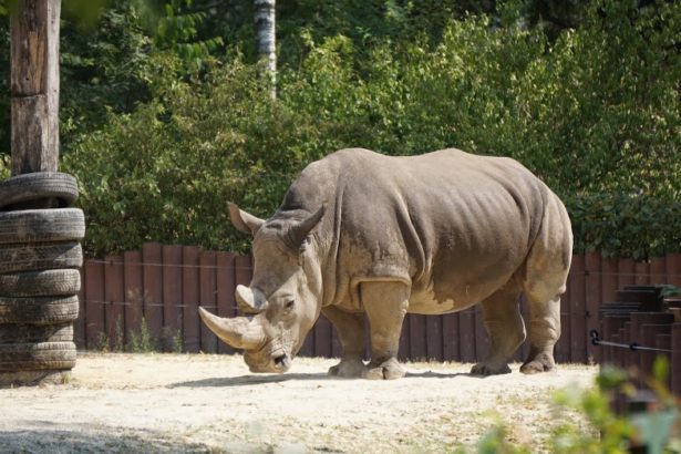 Zoo Augsburg