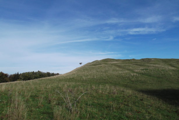 altmuehlpanoramaweg bei heidenheim (1)