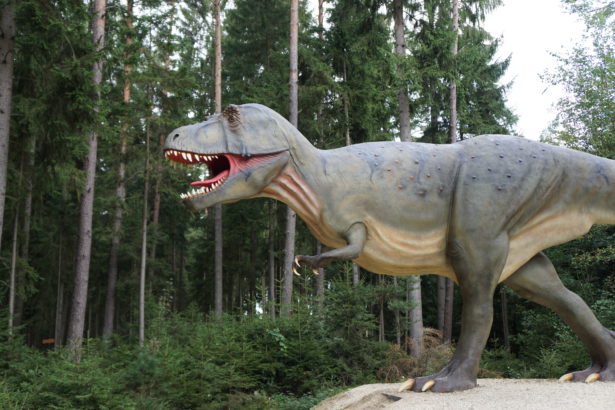 dino park denkendorf _ (14)