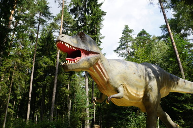 dino park denkendorf _ (16)