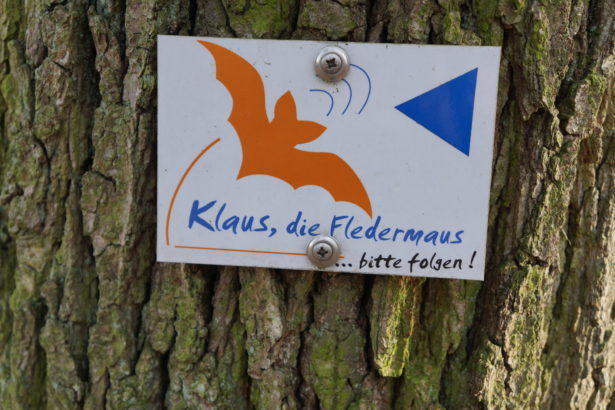 fledermaus-weg-burgstall