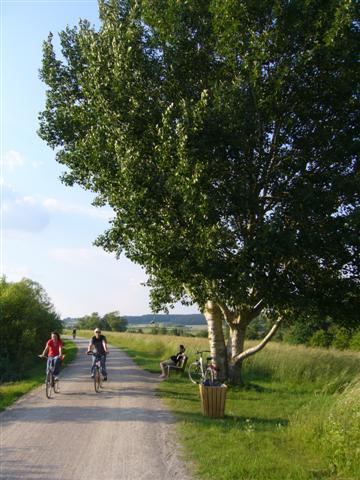 radweg seenland see