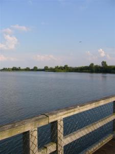 Vogelinsel am Altmühlsee - Blick vom Steg