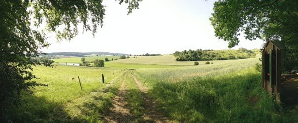 wald-erlebnispfad-hahnenkamm-pano