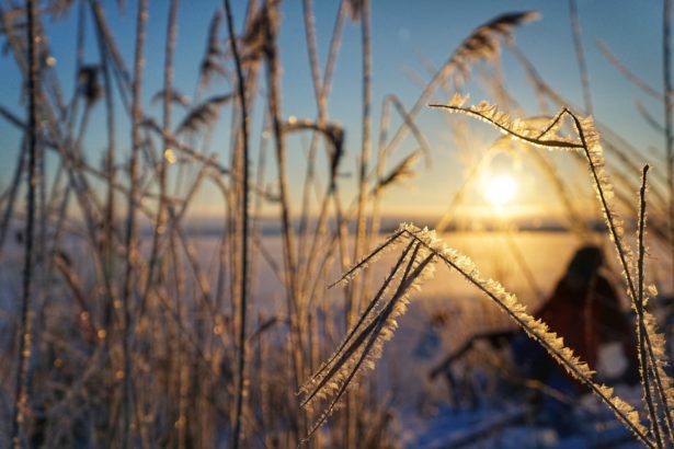 winter-am-altmuehlsee-brombachsee-schnee (3)