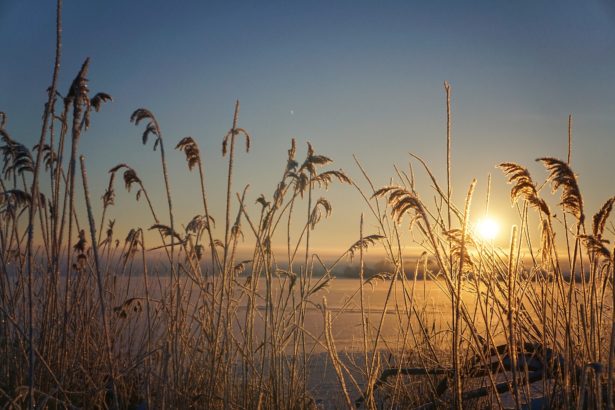 winter-am-altmuehlsee-brombachsee-schnee (6)